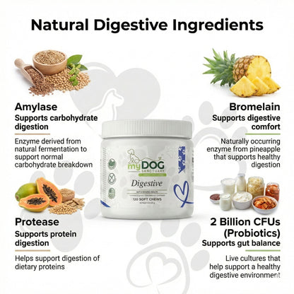 Product packaging with digestive ingredients and benefits on a white background