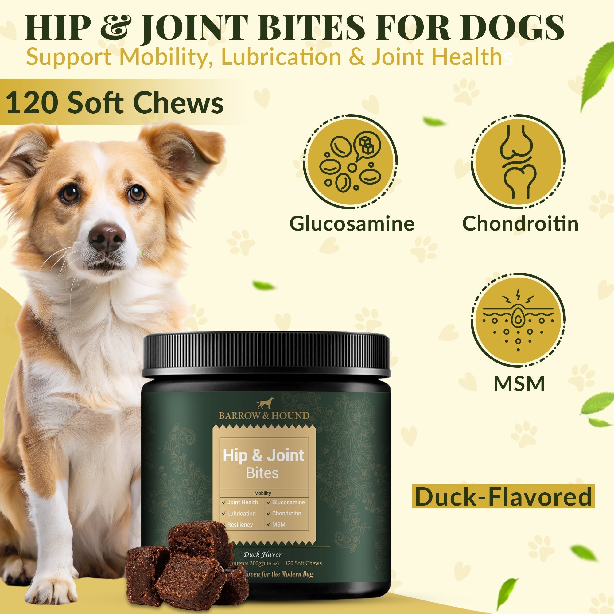 Dog supplement product for hip and joint health with a dog and treats on a light background