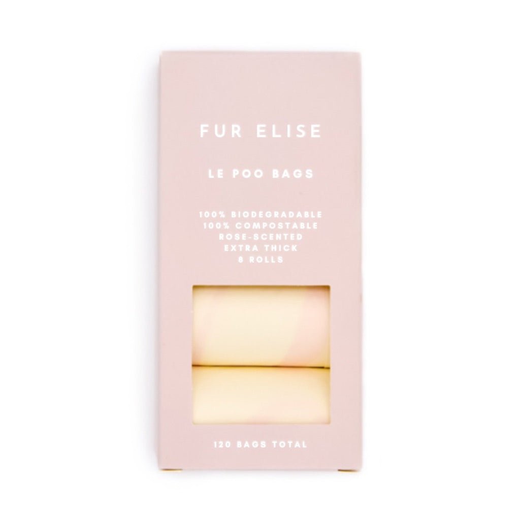 Elise Galleria The Ultimate Walk Set Sand – Luxury Harness, Leash & Accessories Bundle