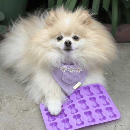 SodaPup Silicone Dog Treat Molds – pet treat molds