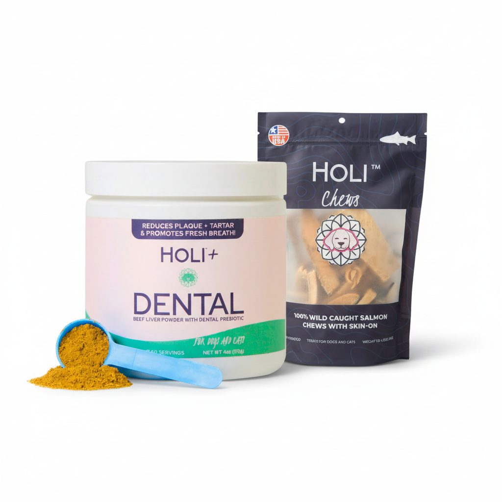 HOLI+ dental product and salmon chews packaging on a white background