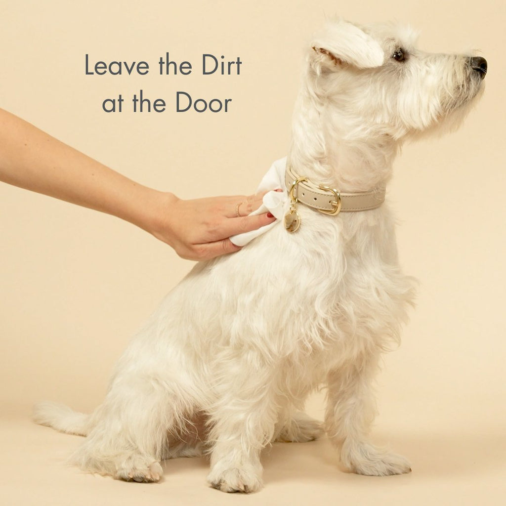 White dog being wiped by a person with text 'Leave the Dirt at the Door' on a beige background