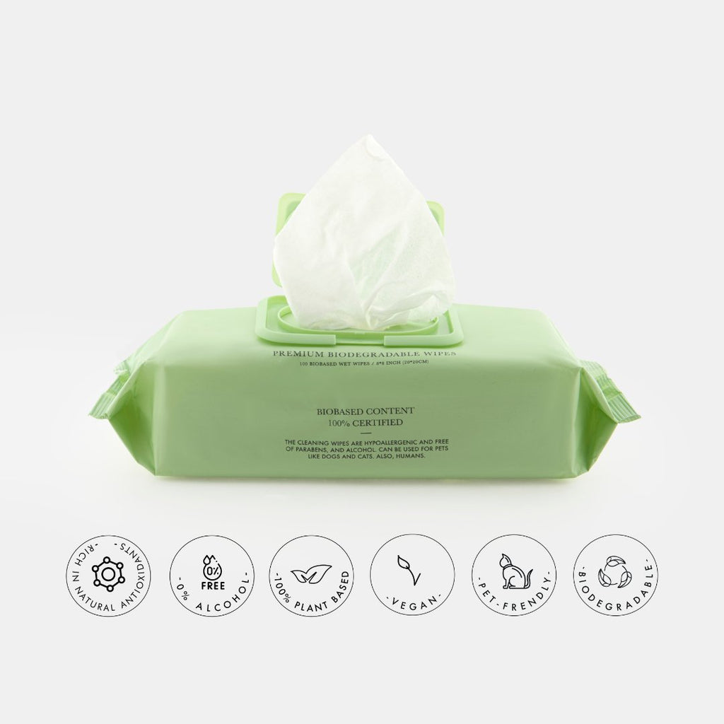 Green packaging of biodegradable wipes with icons indicating product features on a white background