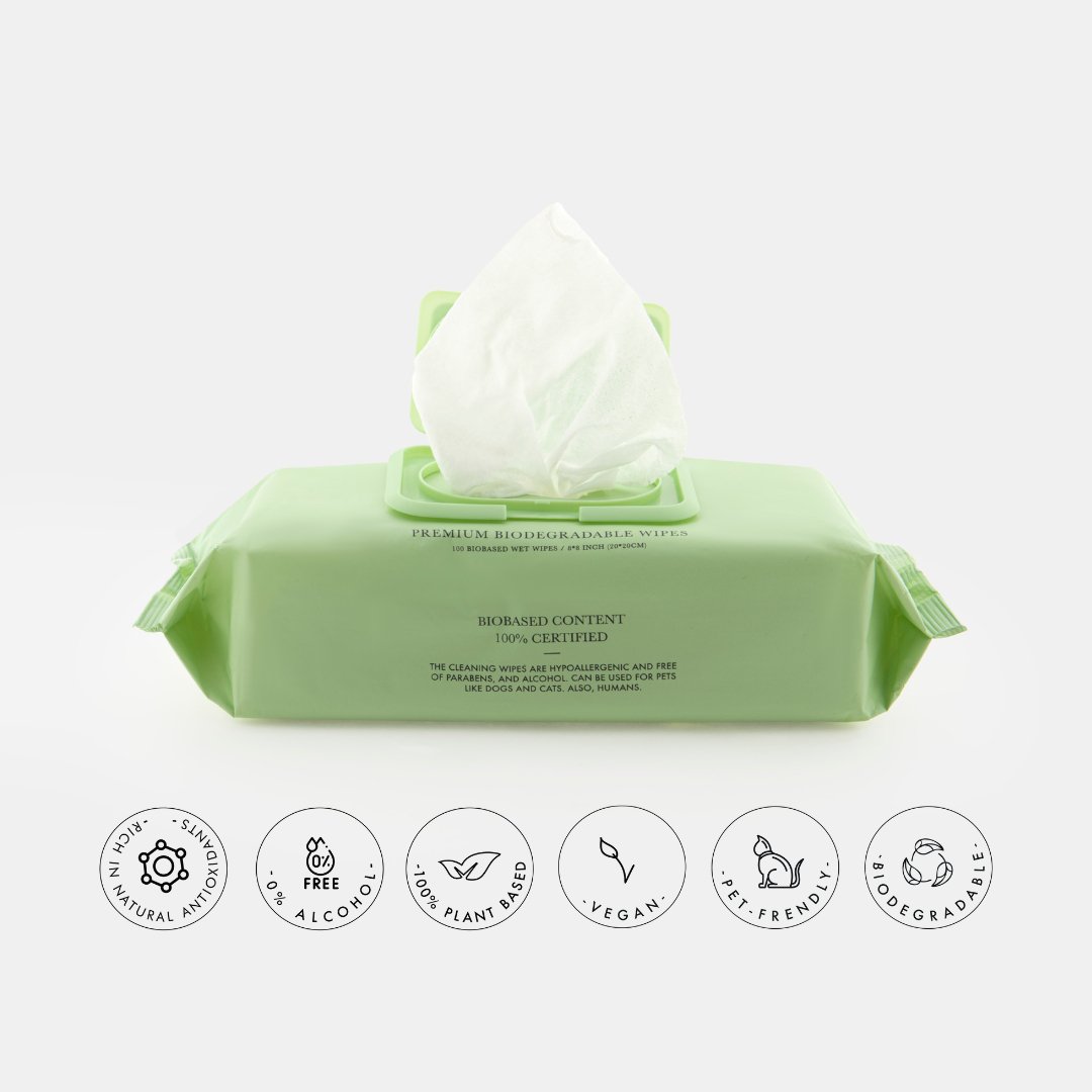 Green packaging of biodegradable wipes with icons indicating product features on a white background