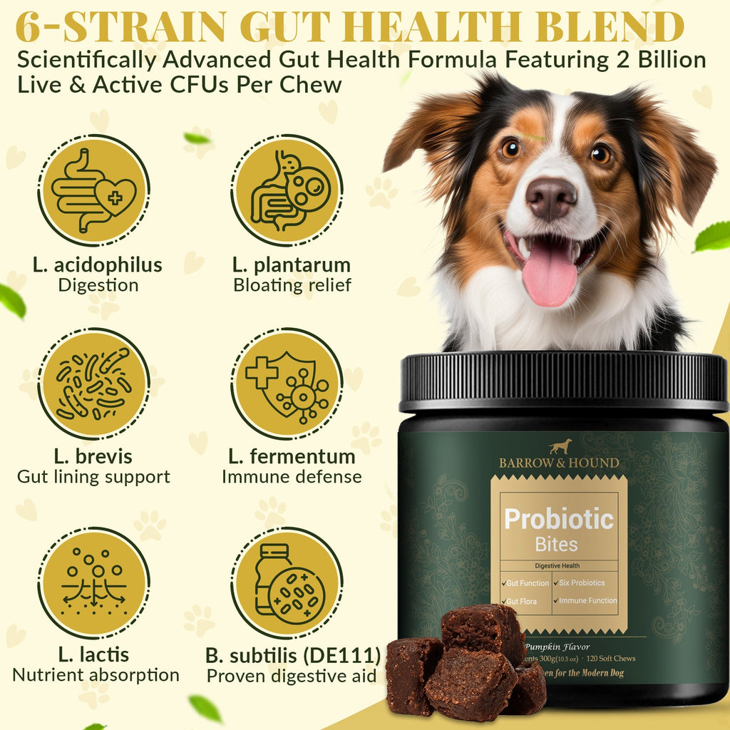 Probiotic bites for dogs with a smiling dog and detailed information about probiotic strains.