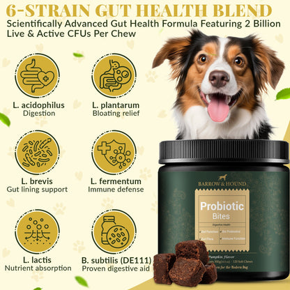 Probiotic bites for dogs with a smiling dog and detailed information about probiotic strains.