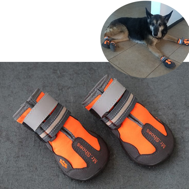 Orange and gray dog shoes with a dog wearing them on a gray surface.