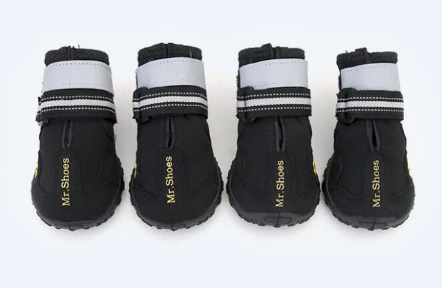 Four black dog boots with white straps and 'Mr. Shoes' branding on a white background