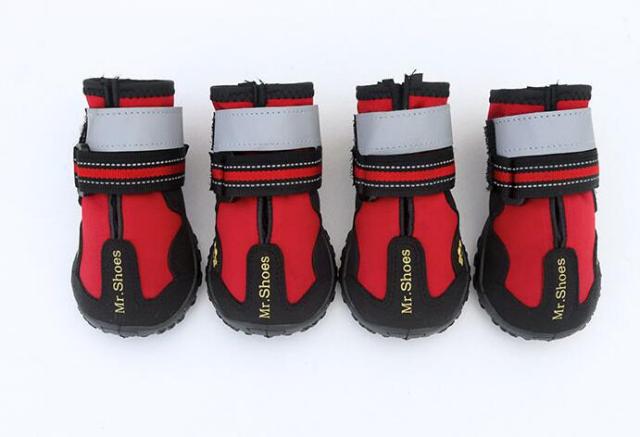 Four red and black dog boots with gray padding on a white background