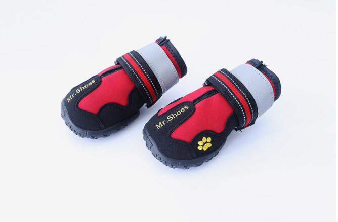 Red and black pet shoes with 'Mr. Shoes' branding on a white background