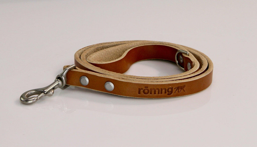 Brown leather dog leash with metal clip on a light gray background