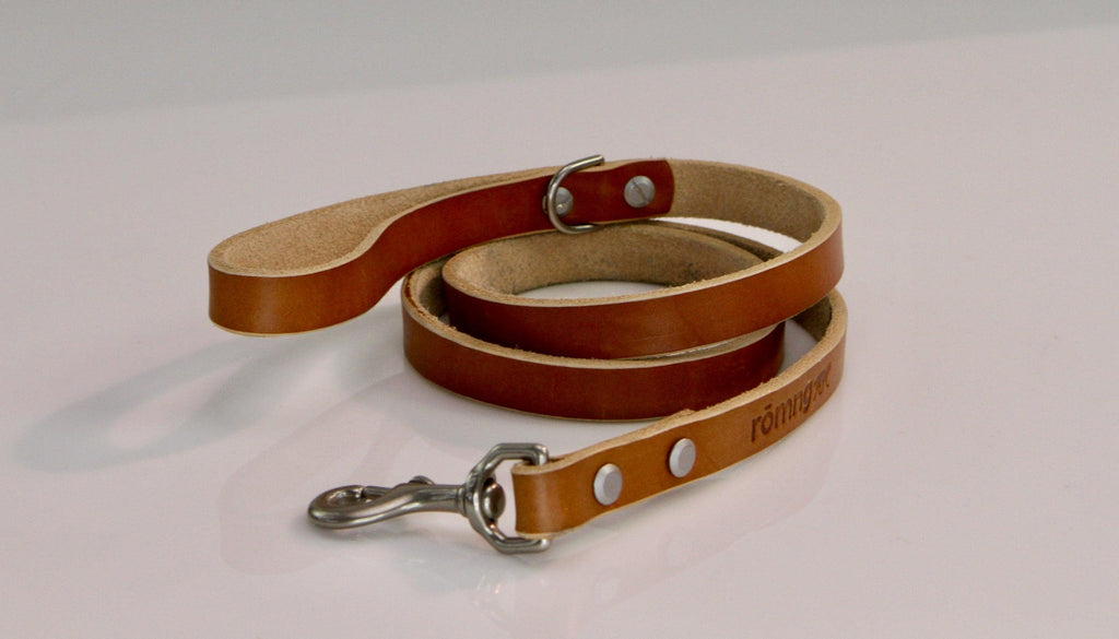 Brown leather dog leash with metal clip on a light gray background
