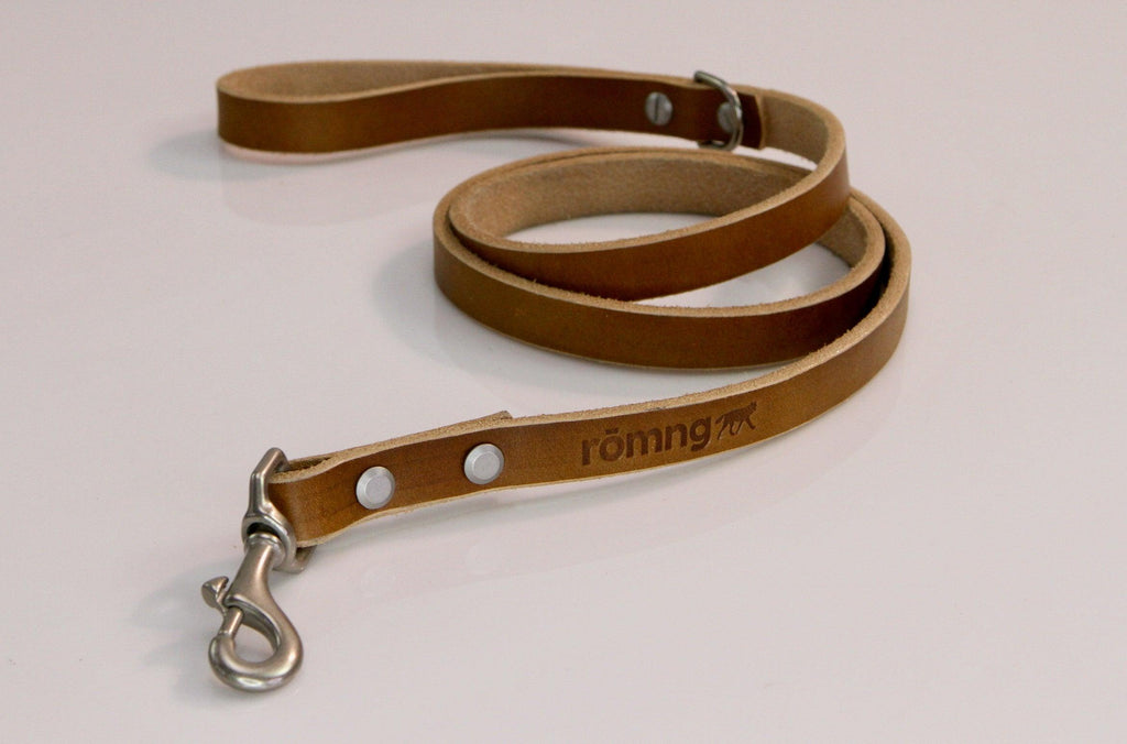 Brown leather dog leash with metal clip on a light gray background