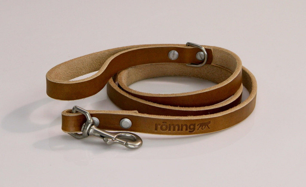 Brown leather dog leash with metal clip on a light gray background
