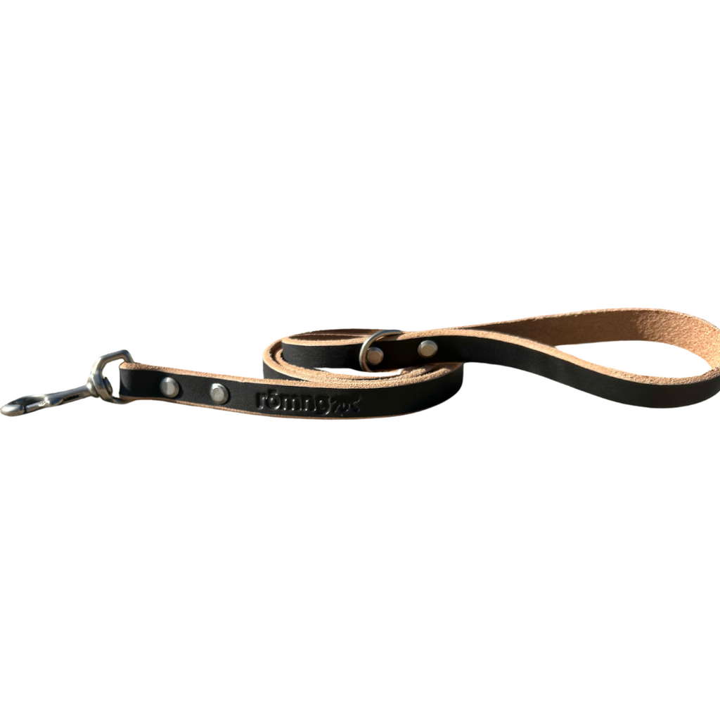 Black leather dog leash with brass hardware on a white background