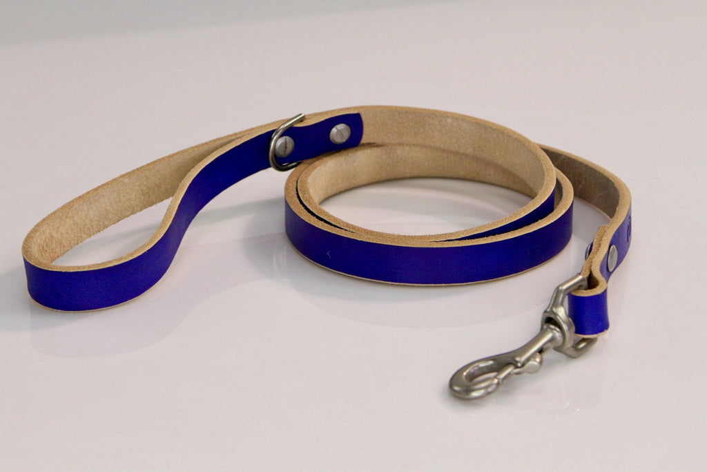 Dog leash with blue and beige design on a white background