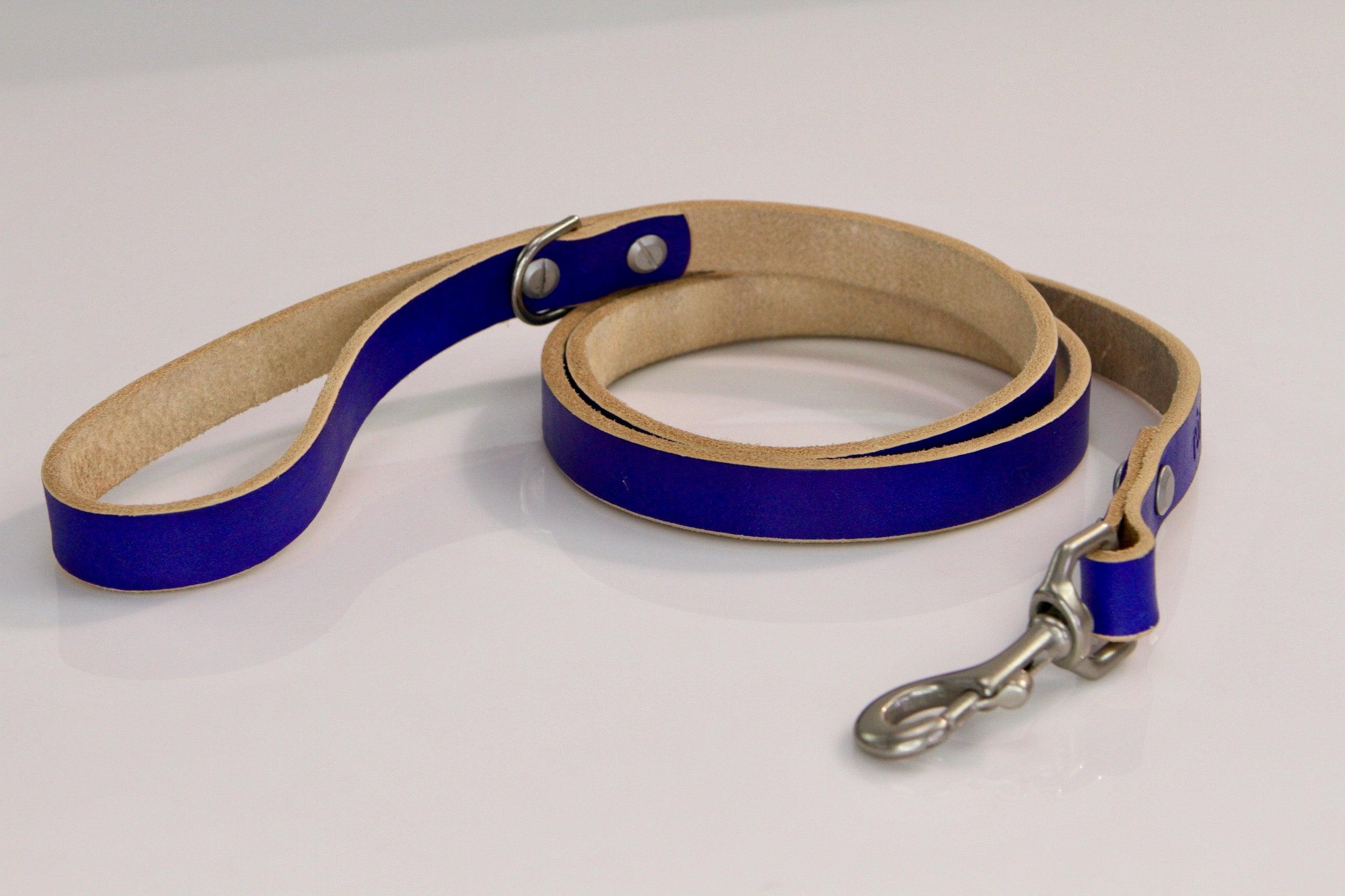 Dog leash with blue and beige design on a white background