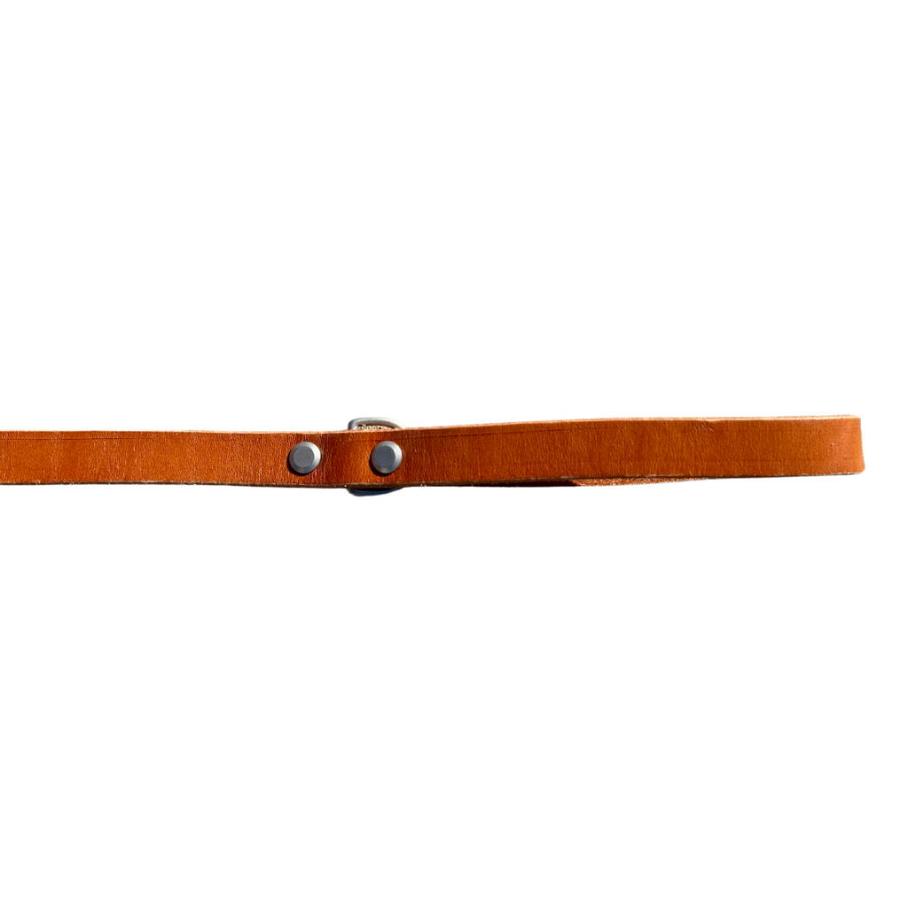 Brown belt with silver buckles on a white background