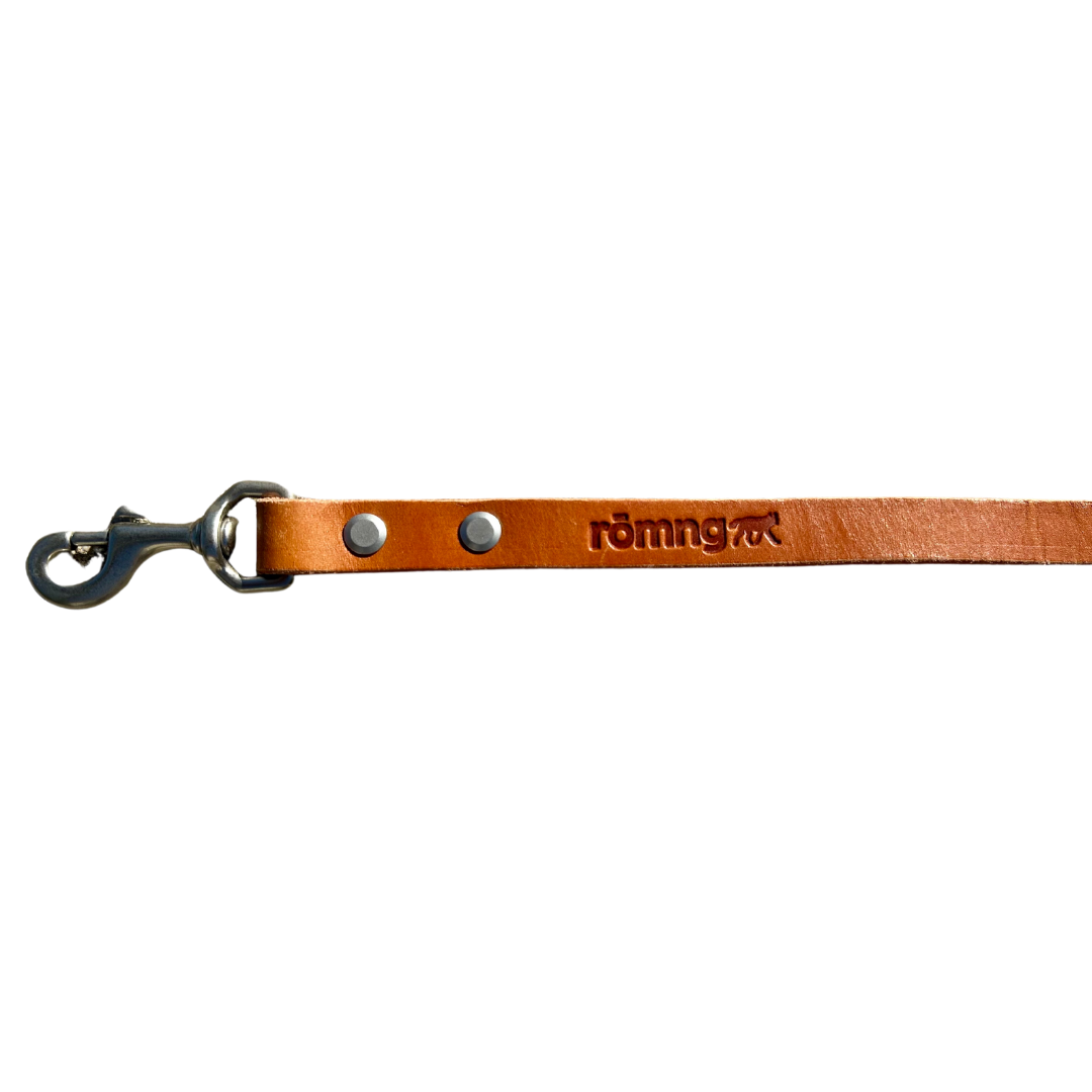 Brown leather dog leash with metal clip on a white background