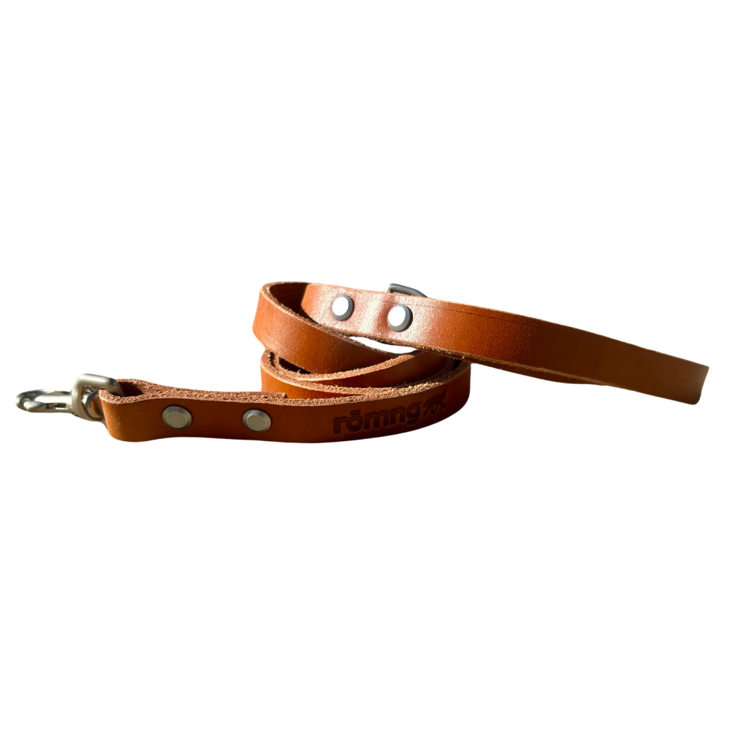 Brown leather dog leash with metal clasps on a white background