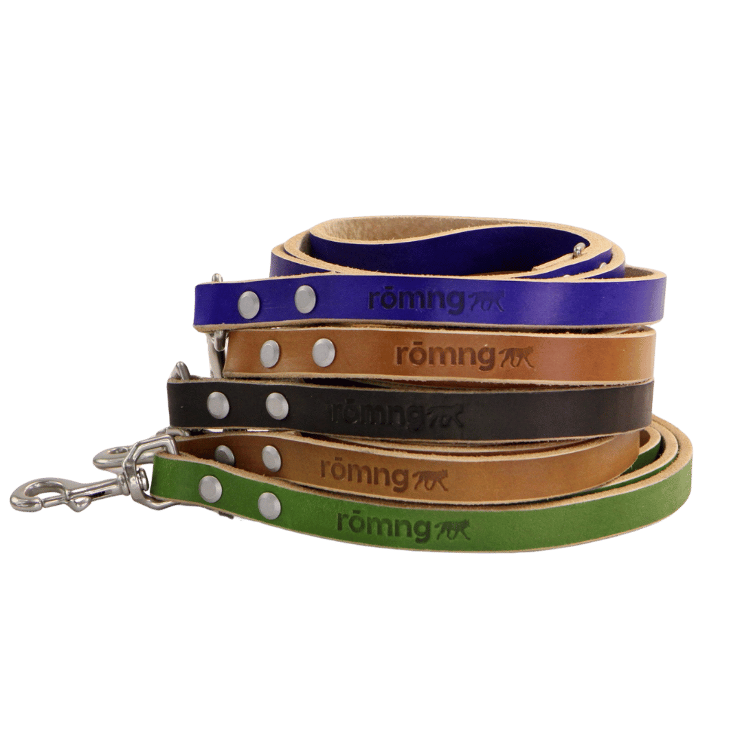 Set of leather dog leashes in blue, brown, and green with 'römng' branding on a transparent background.