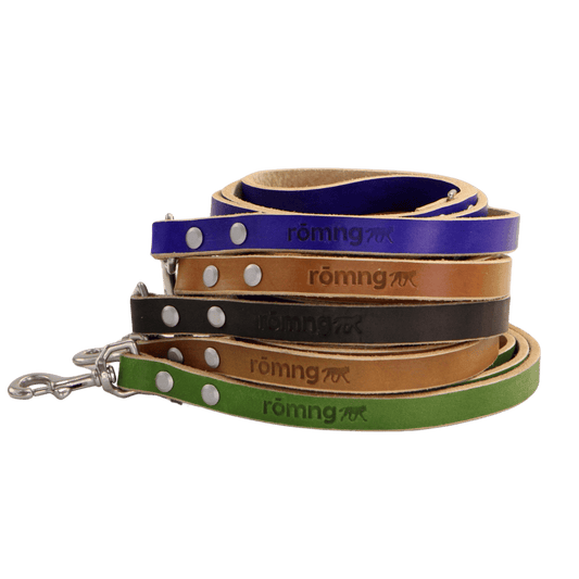 Set of leather dog leashes in blue, brown, and green with 'römng' branding on a transparent background.