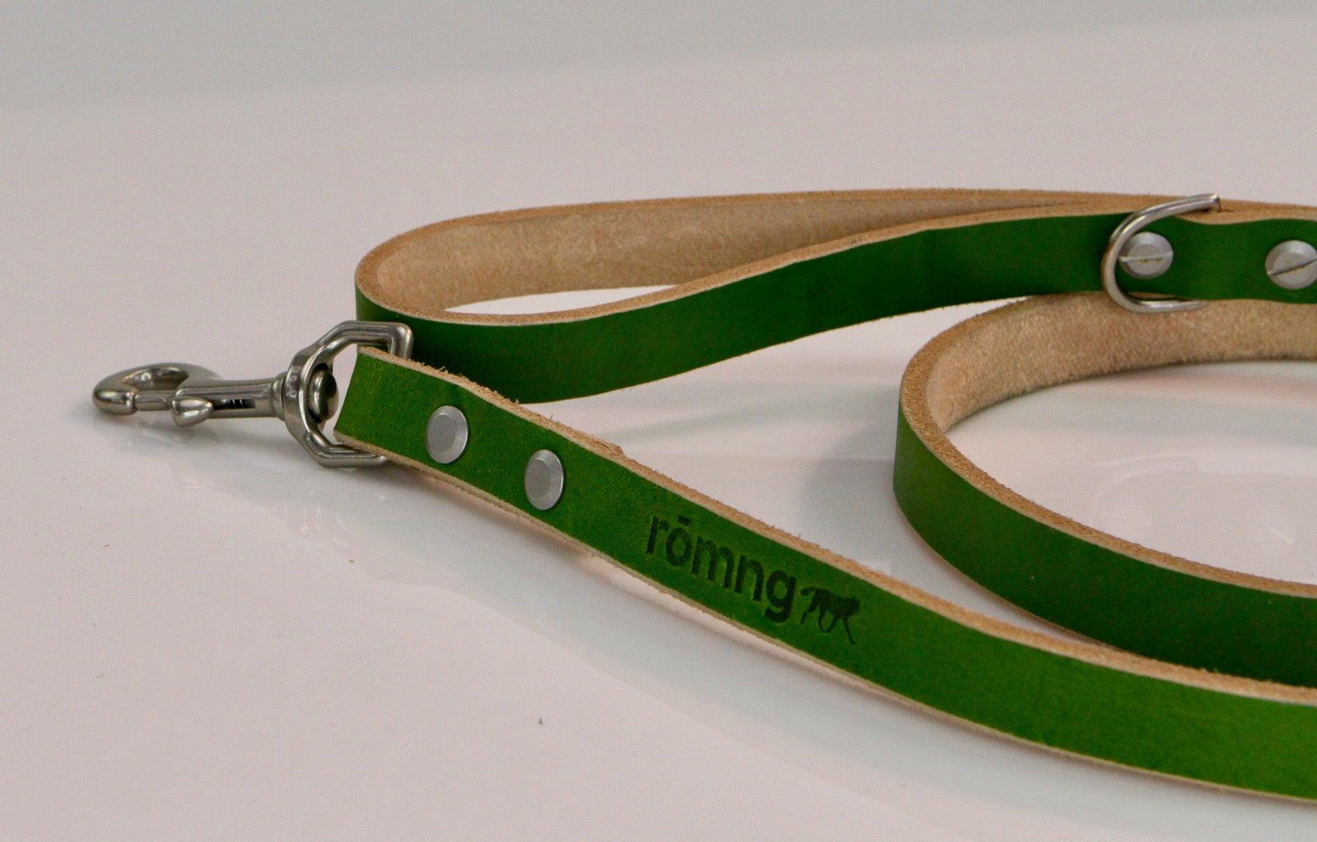 Green and beige leather dog leash with metal clip on a white background