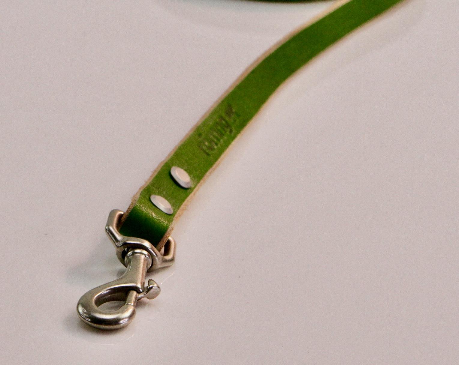 Green leather dog leash with silver clasp on a light gray background