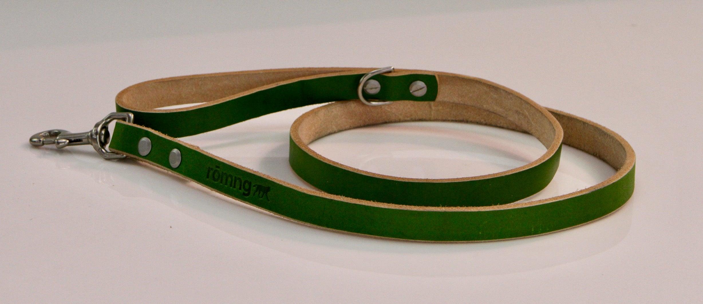 Green leather dog leash with metal clips on a white background