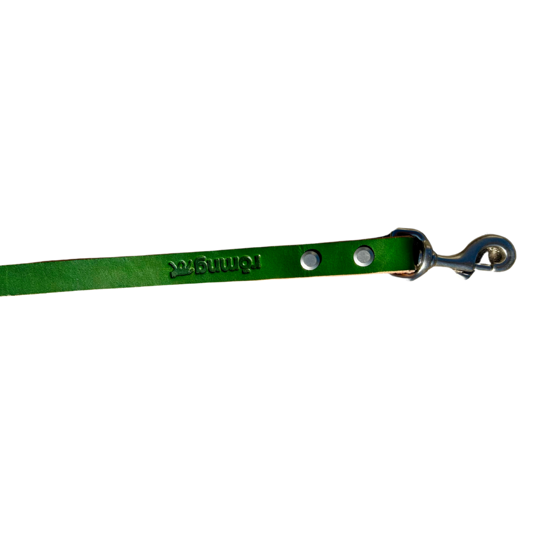 Green dog leash with metal clip on a white background