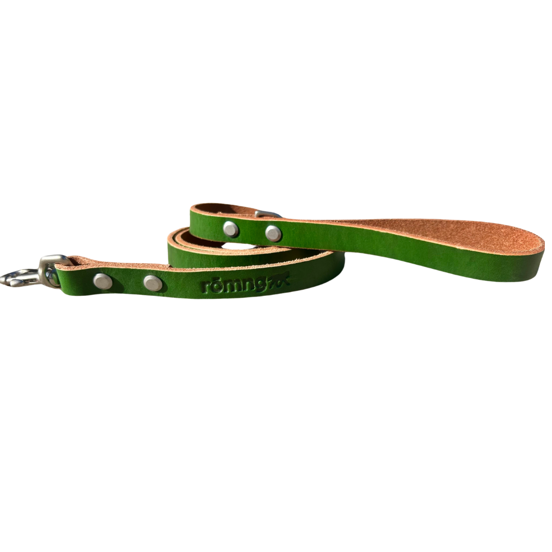 Green leather dog leash with silver studs on a white background