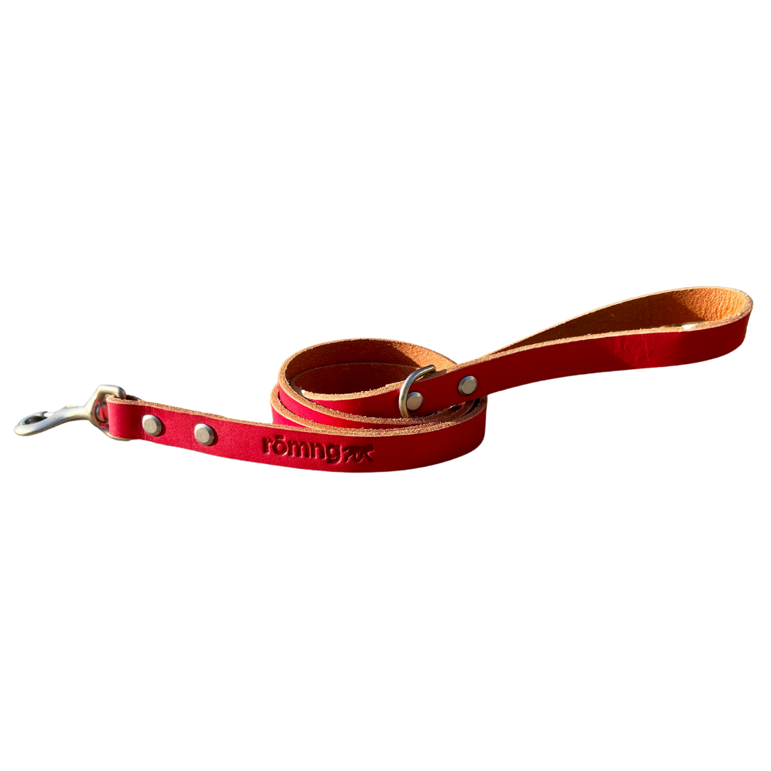 Red leather dog leash with metal clasps on a white background