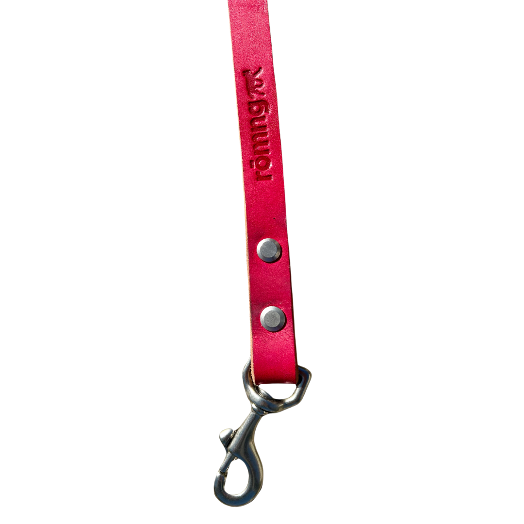 Red dog leash with metal clip on a white background