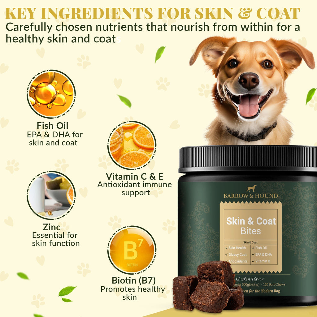 Dog supplement product with key ingredients for skin and coat on a light background