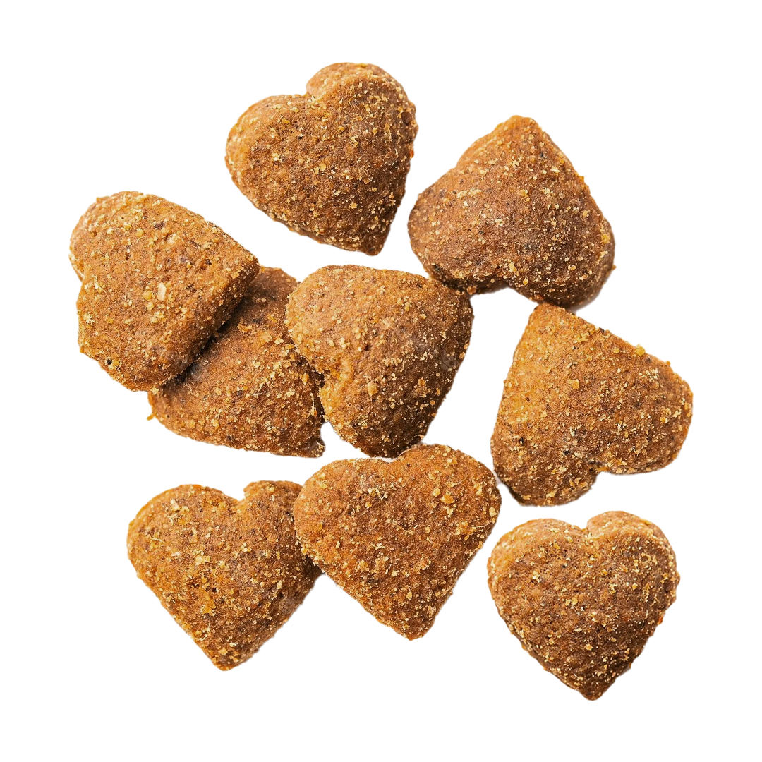 Pluto Superfood Softchew soft chews in natural salmon flavor