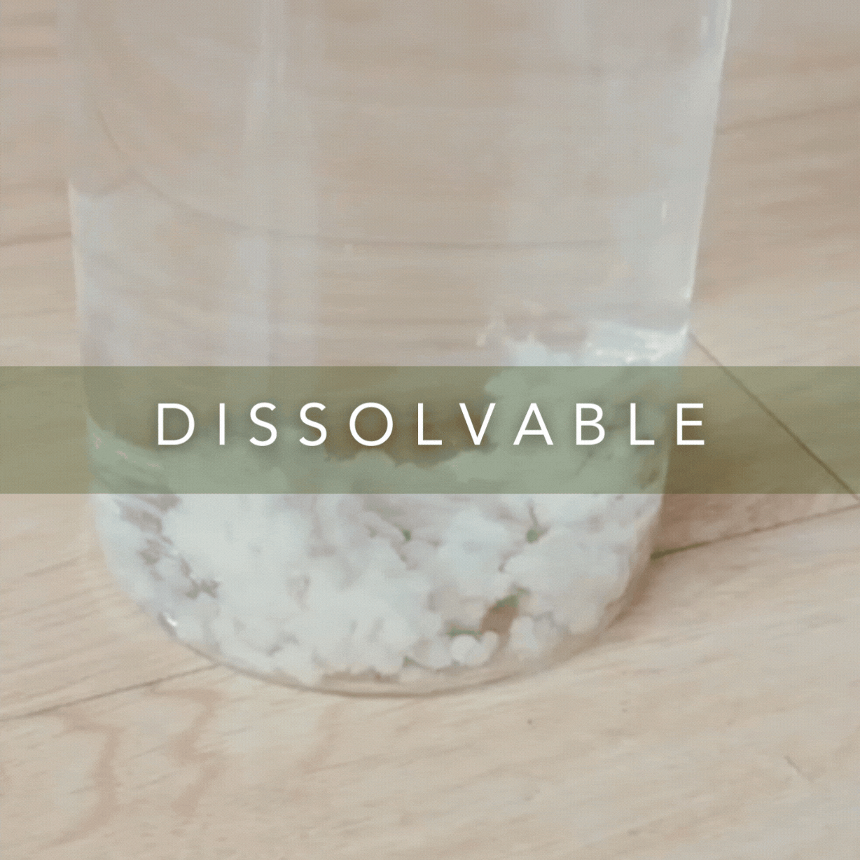 SoyKitty All-Natural Unscented Plant-Based Cat Litter – 4.2kg (1 Pack)