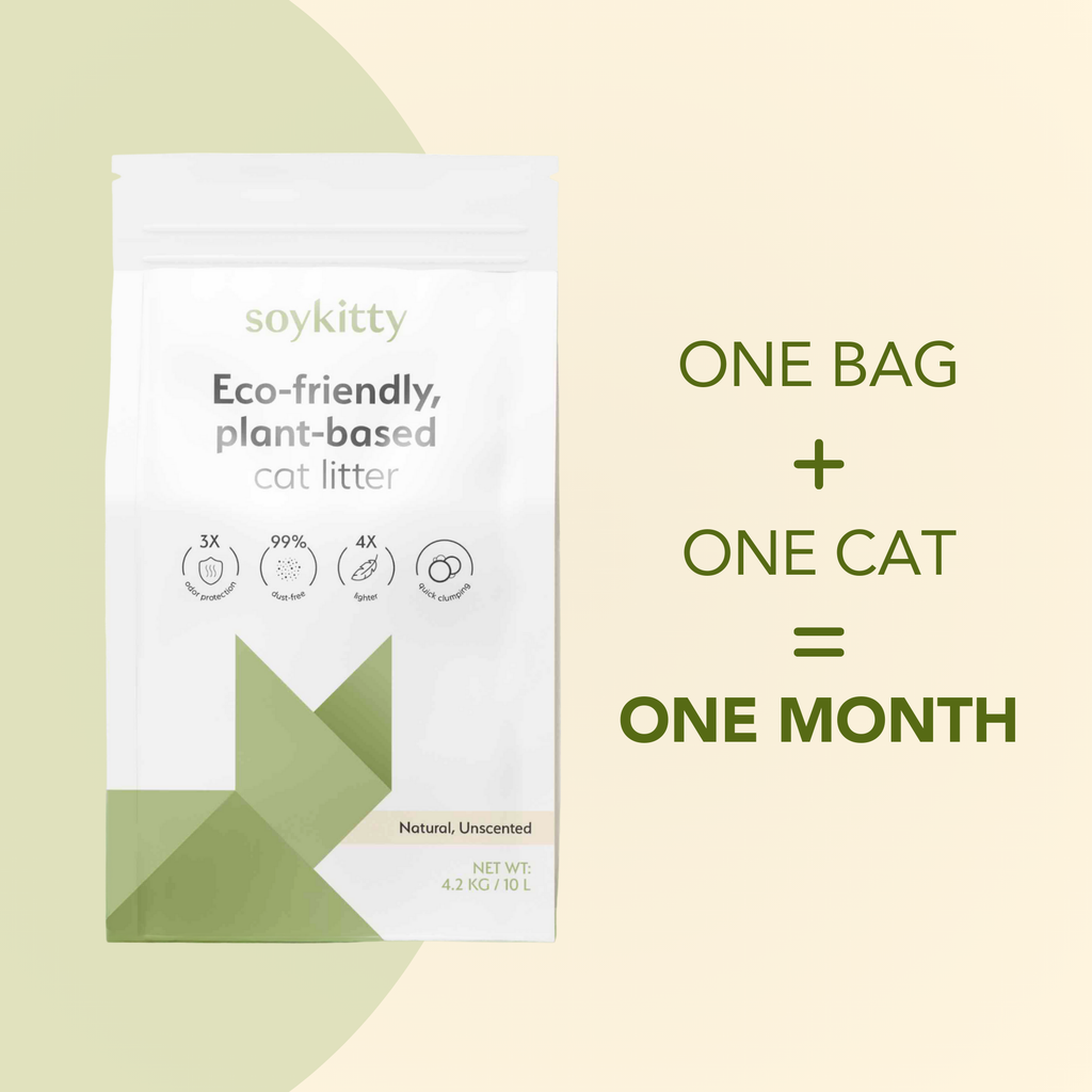 Soykitty eco-friendly plant-based cat litter package on a light green background