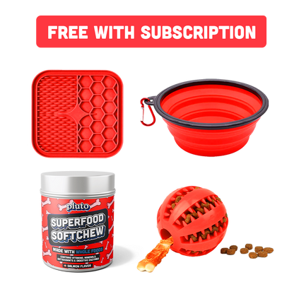Pluto Superfood Softchew welcome pack contents